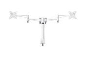 Uchwyt na monitor - Multibrackets M VESA Desktop Dual Arm Si 75x75 100xdo - 7350022733053