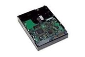 Dysk twardy - HP Entry - 250GB - Dysk twardy - 571230-B21 - SATA-300 - 3.5" - 571230-B21