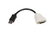 Kabel wyświetlacza - StarTech.com DisplayPort to DVI Video Converter - DP2DVI