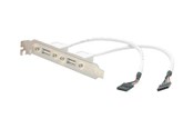 Kabel zasilajacy (wewnetrzny) - StarTech.com 2 Port USB A Female Low Pro - USBPLATELP