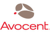 Serwis i wsparcie - Avocent Hardware Maintenance Silver - garantiforlængelse - 1 år - 1YSLV-ACS48PT