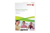 Papier, papier fotograficzny i etykiety - Xerox Premium NeverTear - polyesterpapir - 003R98091