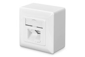 Akcesoria sieciowe - DIGITUS CAT 6 Wall Outlet - DN-9006-N