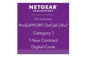 Serwis i wsparcie - Netgear ProSupport OnCall 24x7 Category 1 - PMB0311-10000S