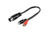 Kabel audio - Pro DIN 5 pins M - 2xRCA F - 0.2m - 4040849500022