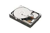 Dysk twardy - IBM - 1TB - Dysk twardy - 81Y9691 - SAS2 - 2.5" - 81Y9691