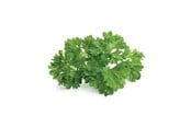 Inteligentny dom - Click & Grow Smart Garden 3-pak kapsułki z pietruszką - SG-011
