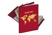 Torba na aparat - HERMA RFID Protector for Passport - 5549 N