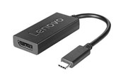 Kabel wyswietlacza - Lenovo USB / DisplayPort adapter - 3840x2160 60 Hz - DisplayPort 1.2a - 4X90Q93303
