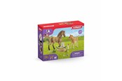 Schleich - Schleich Horse Club Sarahs baby animal care - 42432