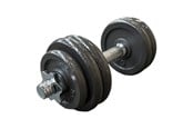 Sport i fitness - TITAN LIFE LIFE 15 kg Adjustable Iron Dumbbell - 400-800082