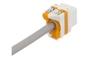 Akcesoria sieciowe - Deltaco MD-123 Cat6A Keystone jack toolless plastic white/orange - MD-123