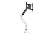 Uchwyt na monitor - Multibrackets M VESA Gas Lift XL Single - 7350073737147