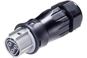 Kable i przewody - Wieland Rst25i3 plug female 3-pol 250v/32a 0.75-6mm2 ø=13-18mm grey - 96.031.4554.3