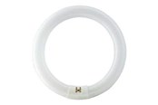 Zarówka LED - Philips Żarówka fluorescencyjna Master TL-E Cirkular 40W/840 G10q - 928027484070