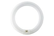 Zarówka LED - Philips Żarówka fluorescencyjna Master TL-E Circular 22W/840 G10q - 928026284070