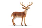 Schleich - Schleich Wild Life White-Tailed Buck - 14818