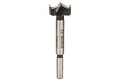 Wiertla & Bity - Bosch FORSTNERBOR HM 25MM - 2608597607