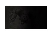 Akcesoria komputerowe - Natec OWL notebook privacy filter - NFP-1475