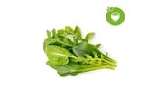 Inteligentny dom - Click & Grow Smart Garden Refill 9-pack Green Sallad Mix - PPMSAX9