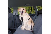 Psy - Trixie Car Harness Safety Belt M 50-70cm/25 mm Stomach Circum 50-70cm - TX1291