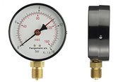 Przyrzady pomiarowe - Erik Færgemann Hydro/thermo gauge 1/2xø80 0-10mvs/20-120°c - 481073-014