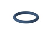 Rury cisnieniowe i zlaczki - Geberit Seal ring fkm-blue d22 - 90884