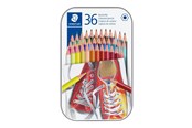 Przybory do pisania i rysowania - Staedtler Coloured pencil hexagonal 36pc - 175 M36