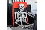 Gadzety - Mikamax Szkielet – Realistyczny – 170 cm – Dekoracja Halloween - 04184