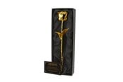 Gadzety - Mikamax 24K Golden Rose - Złota róża w czarnym pudełku - 03261.GO