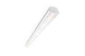 Lampy - Philips coreline trunking gen2 ll217x 8000lm/840 dali bv wide beam - 910925867498