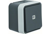 Przelaczniki - Berker Illuminated change over switch lens grey w1 - 30763525