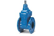 Produkty zaopatrzenia w wode - Avk Gate valve avk 65mm wirh flanges - 06065308146499
