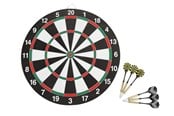Zabawy w ogrodzie - Dartboard with 6 darts - 93132