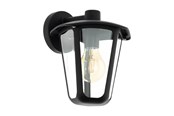 Lampy - EGLO MONREALE oprawa ścienna, transparentny - 98121