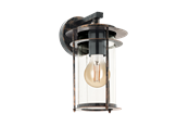 Lampy - EGLO VALDEO oprawa ścienna, przeźroczysty - 96241
