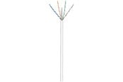 Kabel sieciowy - Pro CAT 6 network cable U/UTP white 100 m - CCA cop - Biały - 100m - 4040849949654