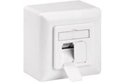 Akcesoria (mocowania, gniazda itp.) - Pro CAT 6 universal wall plate incl. on-wall mounting - 4040849682445