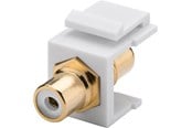 Kabel sieciowy - Pro Keystone Cinch/RCA module - Biały - 0cm - 4040849796760