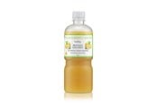 Saturator - Bubliq Italian Sorrento Lemonade - 810519021577