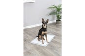 Psy - Jolly Paw Higieniczne maty dla szczeniąt Puppy Pads 40x60cm (7 szt.) - JP26000