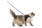 Koty - Trixie Soft harness cat with leash XXL 36–54 cm 1.20 m black - TX41895