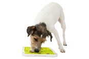 Psy - Trixie Talerz Lick'n'Snack 20x20cm - TX34952