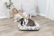 Gryzonie - Trixie Legowisko Sunny dla Małych Zwierząt Króliki - TX62803