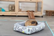 Gryzonie - Trixie Legowisko Sunny dla Małych Zwierząt Świnki Morskie Małe Króliki - TX62802