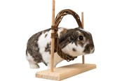 Gryzonie - Trixie Zestaw Agility dla Małych Zwierząt z Obręczą i Przeszkodą dla Szczurów Królików Miniaturowych 28x26x11cm - TX61910