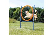 Psy - Trixie Fun Agility Ring – Regulowany obręcz treningowa dla psów - TX3208