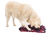 Psy - Trixie Dog Activity Sniffing Carpet Strategy Game 50x34cm - TX32037