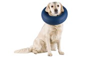 Psy - Trixie Protective Collar Inflatable S 24-31cm - TX19542