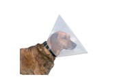 Psy - Trixie Protective collar plastic XS–S: 22–25 cm/10 cm - TX19481